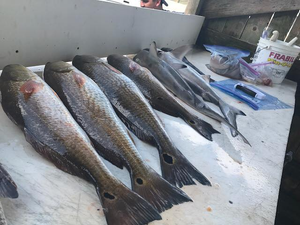 Galveston's Fishing Wonders Unveiled!